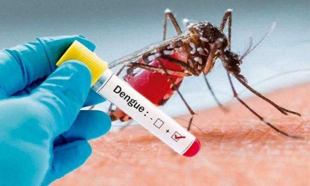 Dengue, virus que ataca a una sola clase